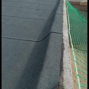 88080162-120486392872840-3665432636387491840-n