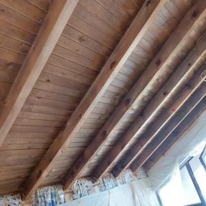 FB_IMG_1750837053421