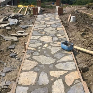 inbound8165728344329262499