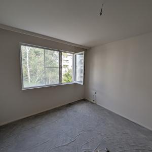 Боядисване