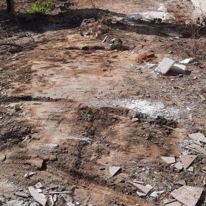 121039061_677535226472846_9136726083560962496_n