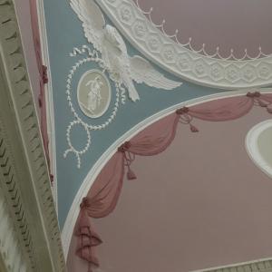 inbound2999673662401584249