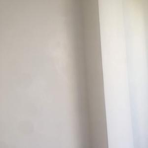 inbound5355242417888767761