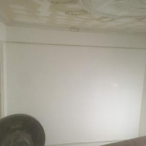 inbound3156018766295863859