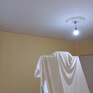 17589818958791251426061444576032