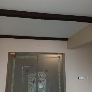 Боядисване