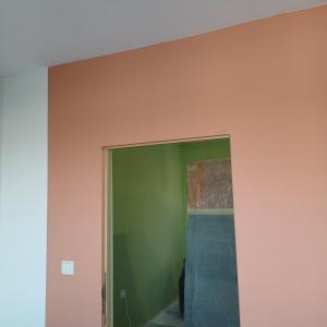 Боядисване