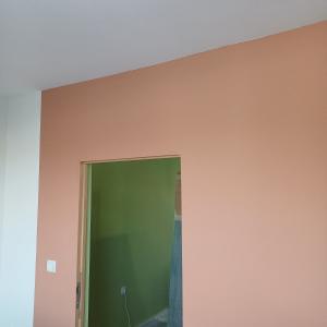 Боядисване