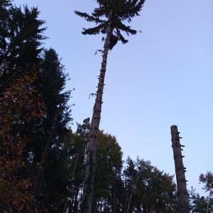 IMG-100695181e9fc9cdc65ac46b04c4e546-V