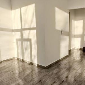 Фаянс и теракот