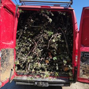 IMG-ee602623dca56947d7c92a6e0de0aba9-V