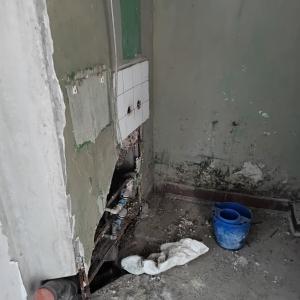 IMG_20250105_120103_037