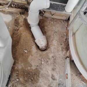 Подновяване на траби