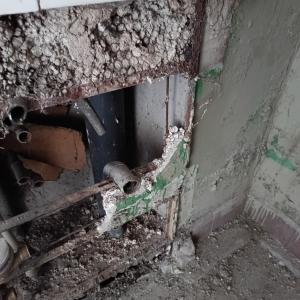 IMG_20250105_120526_818