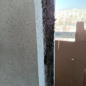 IMG_20250105_120135_275