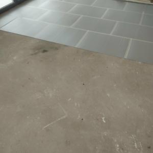 Messenger_creation_D86D7848-1807-40B2-A029-CCB3AF53F855