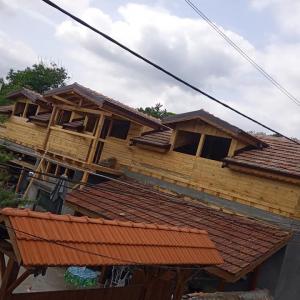 Леденик 2022г