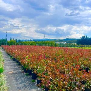 FB_IMG_1745410969208