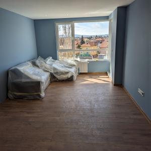 PXL_20240329_124005887