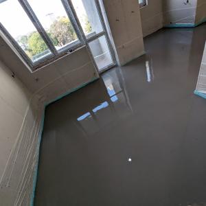 PXL_20241012_092534952