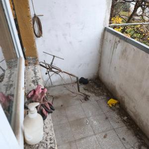 FB_IMG_1769677485212