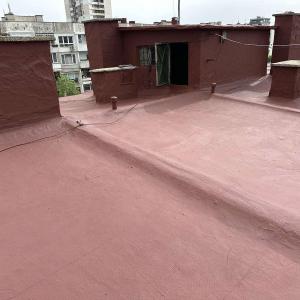 viber_image_2026-02-11_09-57-47-651