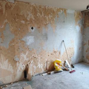 FB_IMG_1769677435061