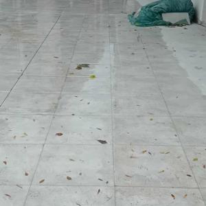 РИМ-ОНТ (ООД)