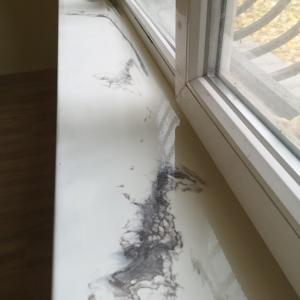 574337724_122126616536977895_6124859685552199028_n