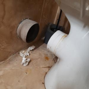 17733256621627312962620968691895