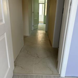 Стая №2 и Стая №1