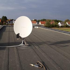 Messenger_creation_E196ADEB-11D9-4EFD-8008-A9E0E569F7E5