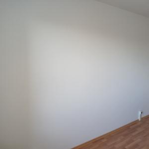 IMG_20260311_123133210