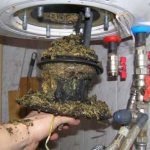 FB_IMG_1774366083751