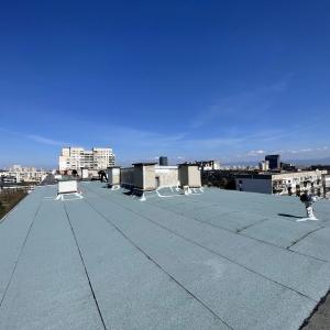IMG_8681