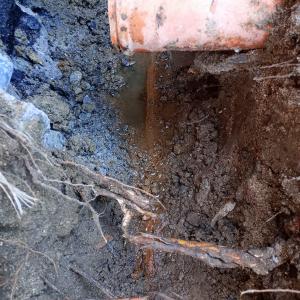 FB_IMG_1774366007461