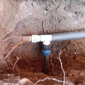 FB_IMG_1774366016101