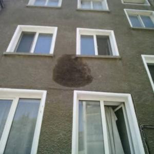 FB_IMG_1774365845557